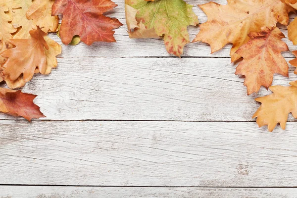 Autumn background — Stock Photo, Image