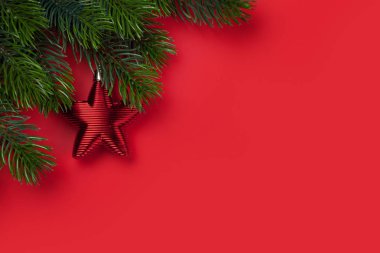 Dekor ve köknar ağacı dallı Noel kartı