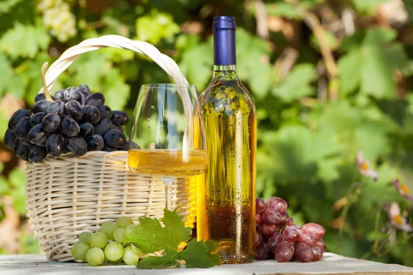 Várias uvas e vinho branco — Fotografia de Stock