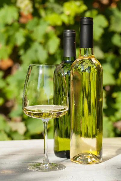 White grape and wine — Stock Photo, Image
