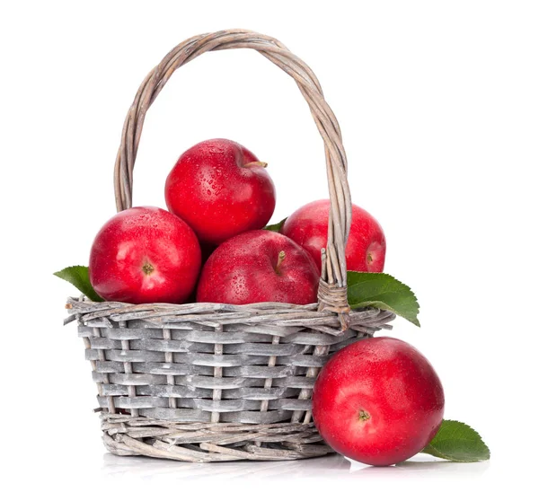成熟的红苹果 — 图库照片