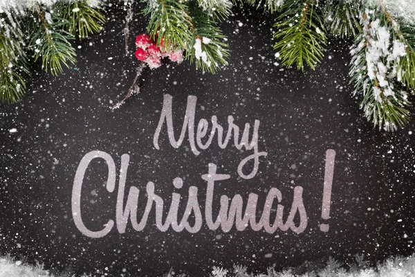Noel tebrik kartı ve köknar ağacı dalı — Stok fotoğraf