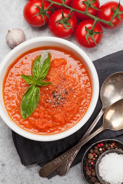 Gazpacho zimna zupa — Zdjęcie stockowe