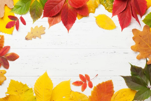 Renkli yapraklı sonbahar arkaplanı — Stok fotoğraf