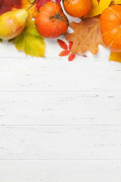 Осенний фон с разноцветными листьями — стоковое фото