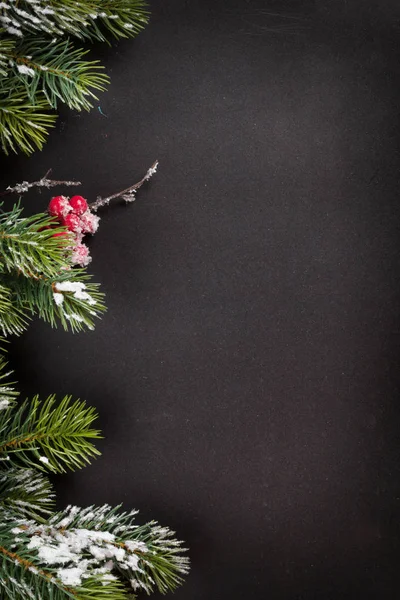 전나무 가지가 달린 크리스마스 인사말 카드 — 스톡 사진