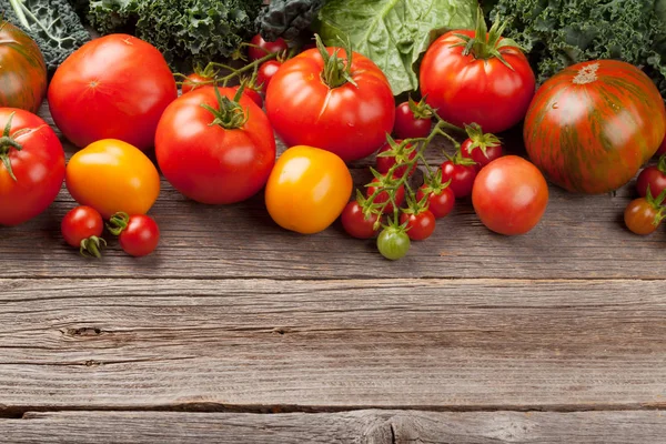 Čerstvá rajčata zahradní — Stock fotografie