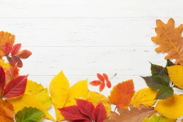 Herfst achtergrond met kleurrijke bladeren — Stockfoto