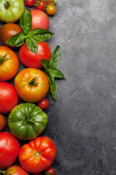 Frisse tuin kleurrijke tomaten — Stockfoto