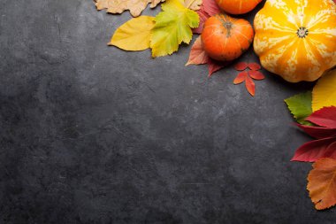 Renkli yapraklı sonbahar arkaplanı