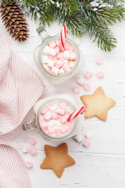 Marshmallow ile geleneksel Noel kokteyli. — Stok fotoğraf