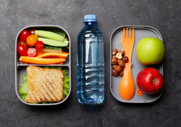 Healthy Lunch Box Sandwich Vegetables Stone Table Top View Flat — Stock Photo, Image