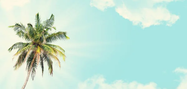 Letní Tropický Horký Den Pozadí Dlaní Modrou Slunnou Oblohou Široké — Stock fotografie