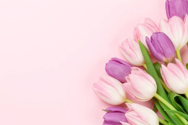 Pembe lale çiçekleri pembe arka planda. Kopya alanı olan tebrik kartı şablonu