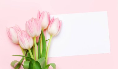 Pembe lale çiçekleri pembe arka planda. Kopya alanı olan tebrik kartı şablonu