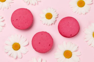 Papatya çiçekleri ve kurabiyeler renkli desenler.