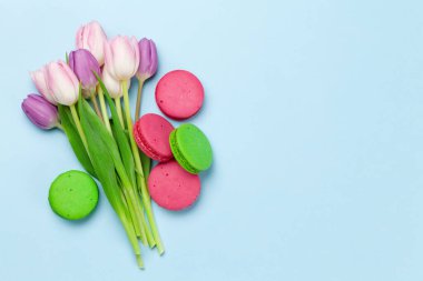 Lale çiçekleri ve kurabiyeler mavi arka planda. Kopya alanı olan tebrik kartı şablonu