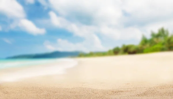 Tropikalna Plaża Palmami Jasnym Piaskiem Letnie Wakacje Nad Morzem Koncepcja — Zdjęcie stockowe