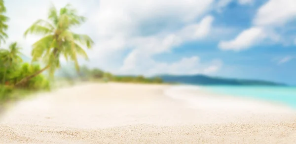 Tropická Pláž Palmami Jasným Pískem Letní Moře Dovolená Cestování Koncept — Stock fotografie