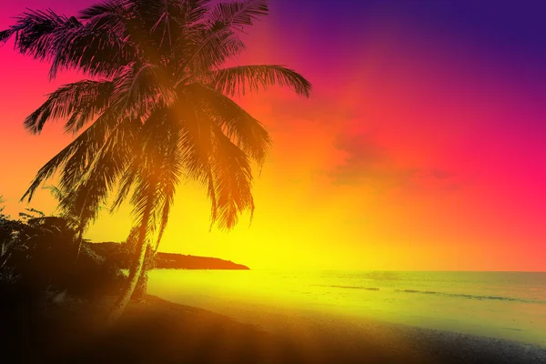 Puesta Sol Playa Tropical Con Palmeras Vacaciones Verano Mar Concepto —  Fotos de Stock