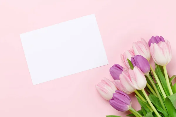 Rózsaszín Tulipán Virágok Csokor Felett Rózsaszín Háttér Üdvözlőlap Sablon Másolási — Stock Fotó