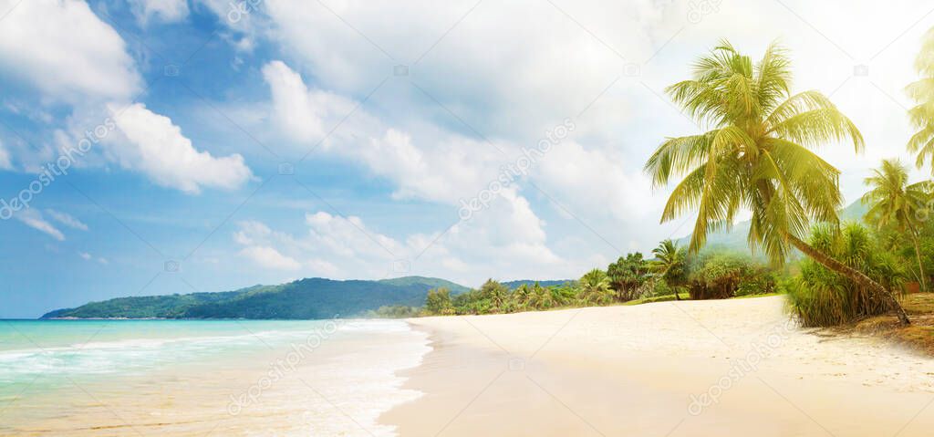 Tropical beach with palms and bright sand. Summer sea vacation and travel concept