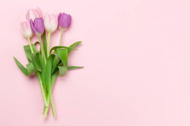 Pembe lale çiçekleri pembe arka planda. Kopya alanı olan tebrik kartı şablonu