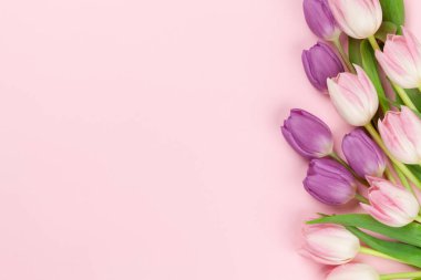 Pembe lale çiçekleri pembe arka planda. Kopya alanı olan tebrik kartı şablonu