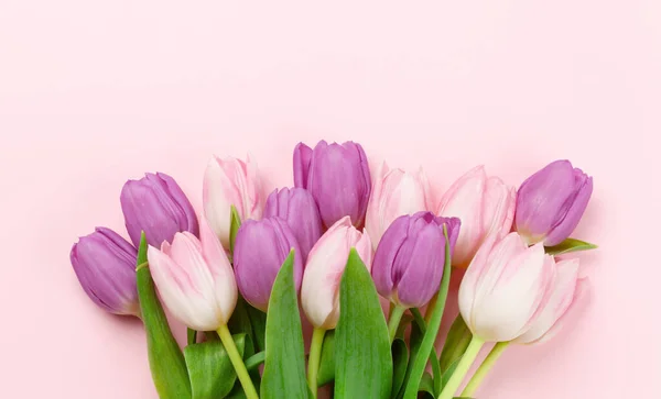 Tulipano Rosa Fiori Bouquet Sfondo Rosa Modello Biglietto Auguri Con — Foto Stock