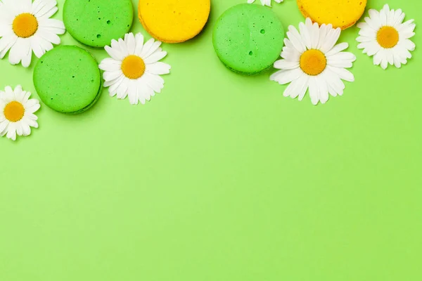 緑の背景にカモミールの花とマカロンクッキー コピースペース付きグリーティングカードテンプレート — ストック写真