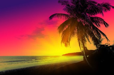 Tropikal sahilde palmiyeli gün batımı. Yaz tatili ve seyahat konsepti