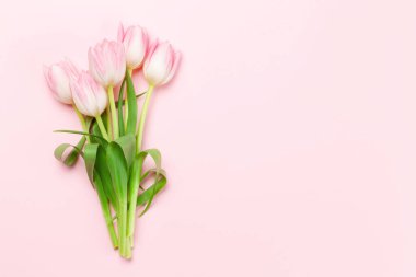 Pembe lale çiçekleri pembe arka planda. Kopya alanı olan tebrik kartı şablonu
