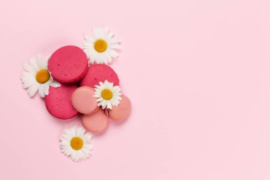 Papatya çiçekleri ve kurabiyeler pembe arka planda. Kopya alanı olan tebrik kartı şablonu