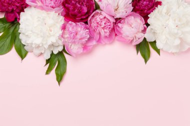 Pembe arka planda renkli pembe, beyaz ve mor şakayık çiçekleri. Kopyalama alanı olan üst görünüm. Düz yatıyordu