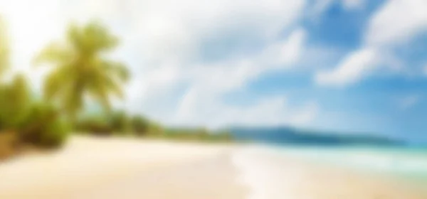 Tropická Pláž Palmami Jasným Pískem Pozadí Letní Moře Dovolená Cestování — Stock fotografie