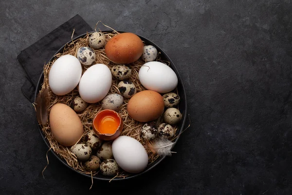 White Brown Quail Eggs Stone Background Top View Copy Space — Stock Photo, Image