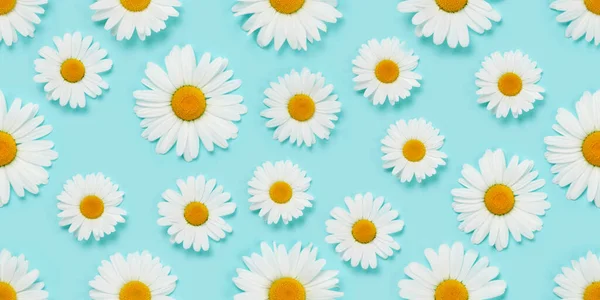 Heřmánkový Květ Bezešvé Textury Fabric Sedmikráska Vzor Pozadí Přes Modré — Stock fotografie
