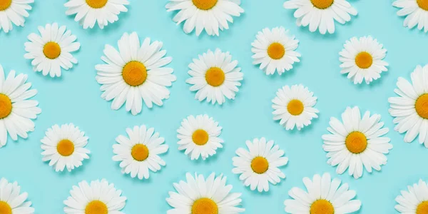 Camomile Flower Seamless Texture Fabric Daisy Pattern Backdrop Blue Background — Stock Photo, Image