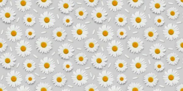 Camomile Flower Seamless Texture Fabric Pattern Backdrop Gray Background — Stock Photo, Image