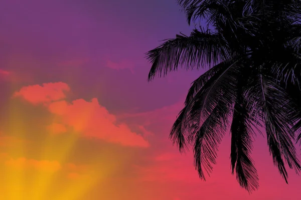 Západ Slunce Tropické Pláži Palmami Letní Dovolená Cestování Koncept — Stock fotografie