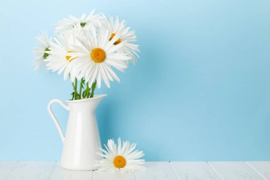 Mavi duvarın önünde papatya çiçeği buketi. Kopyalama alanı olan tebrik kartı