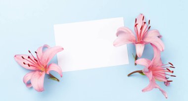 Mavi arka planda pembe zambak çiçekleri ve boş tebrik kartı. Üst görünüm düzlüğü kopyalama alanı ile yatıyordu