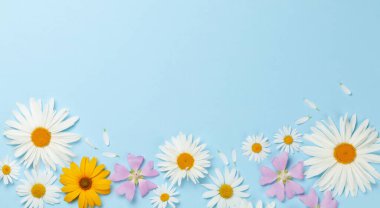 Mavi arka planda bahçe çiçekleri çerçevesi. Çiçekli tebrik kartı. Üst görünüm düzlüğü kopyalama alanı ile yatıyordu