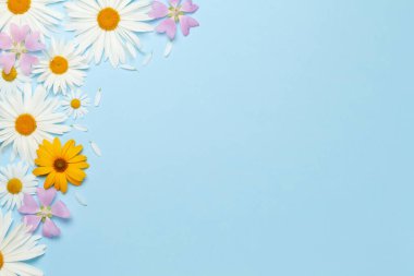 Mavi arka planda bahçe çiçekleri çerçevesi. Çiçekli tebrik kartı. Üst görünüm düzlüğü kopyalama alanı ile yatıyordu