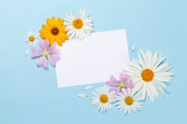 Mavi arka planda bahçe çiçekleri çerçevesi. Çiçekli tebrik kartı. Üst görünüm düzlüğü kopyalama alanı ile yatıyordu