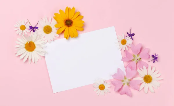 Trädgård Blommor Ram Över Rosa Bakgrund Blommigt Gratulationskort Ovanifrån Platt — Stockfoto