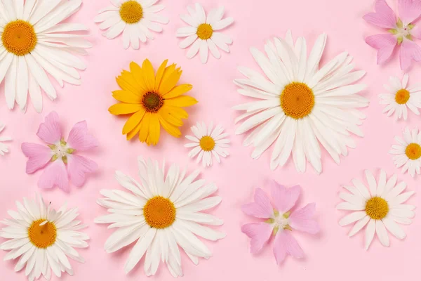 Kerti Virágok Rózsaszín Háttérrel Virágüdvözlő Kártya Minta Top View Lapos — Stock Fotó