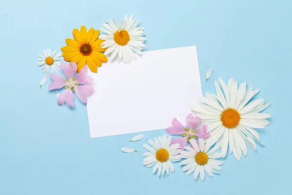 Trädgård Blommor Ram Över Blå Bakgrund Blommigt Gratulationskort Ovanifrån Platt — Stockfoto