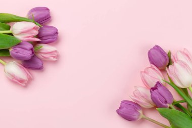 Pembe lale çiçekleri pembe arka planda. Kopya alanı olan tebrik kartı şablonu