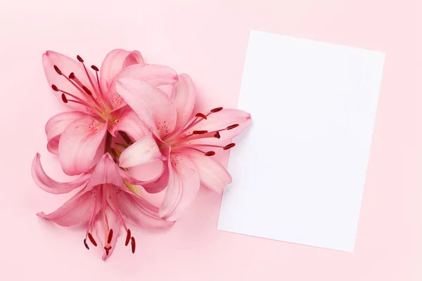 Lily Virágokat Rózsaszín Háttér Üres Üdvözlőlapot Top View Lakás Feküdt — Stock Fotó